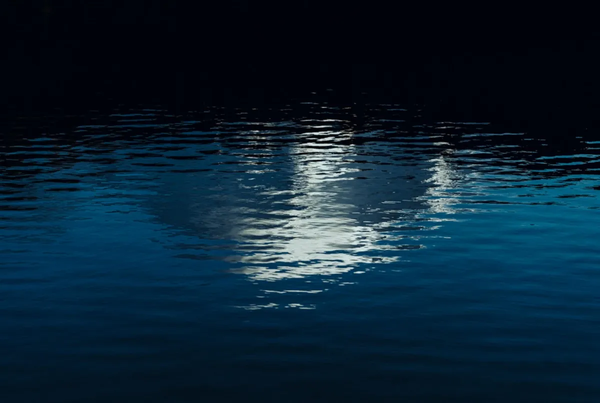Reflective intelligence